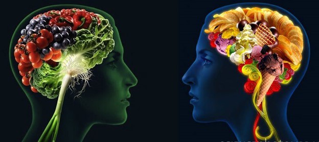 digital illustration of two heads facing each other with brains replaced by healthy foods